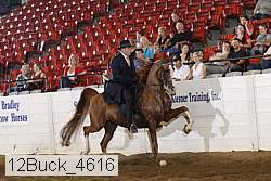 12buck_4616 proof