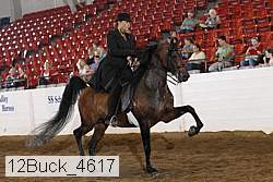 12buck_4617 proof