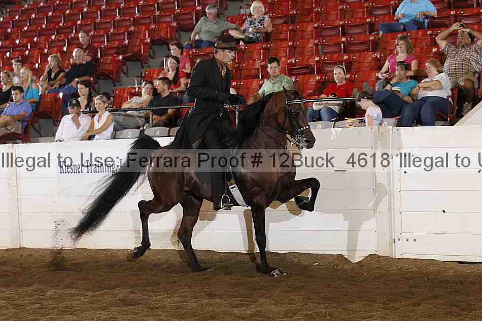 Proof 12buck_4618