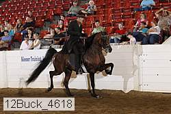 12buck_4618 proof