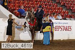 12buck_4619 proof