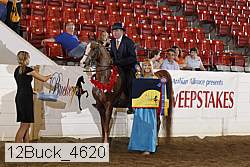 12buck_4620 proof