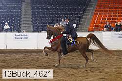 12buck_4621 proof