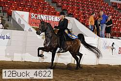 12buck_4622 proof