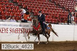 12buck_4623 proof