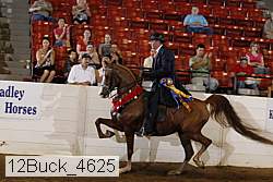 12buck_4625 proof