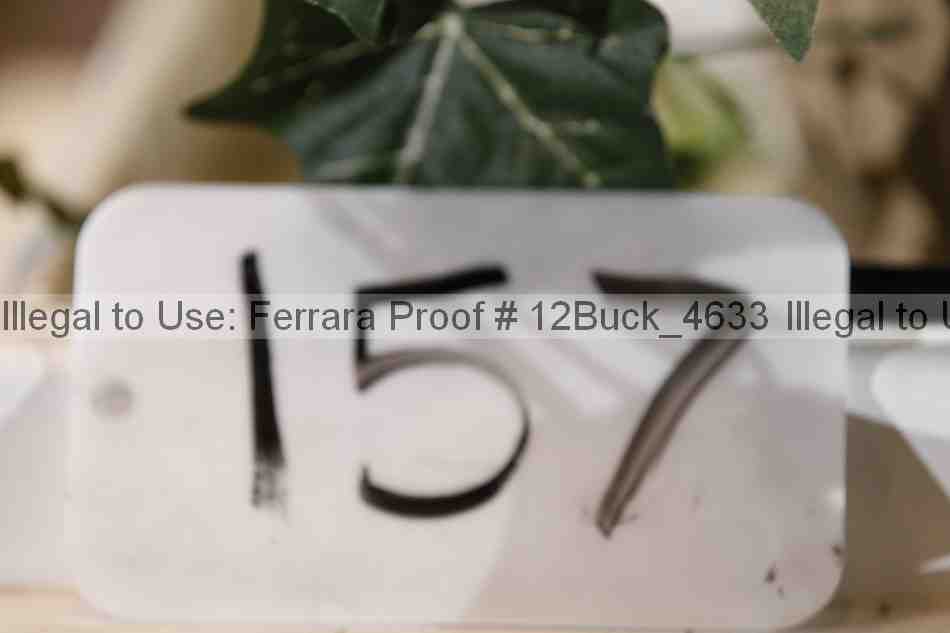 Proof 12buck_4633