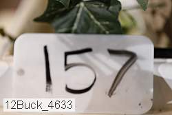 12buck_4633 proof