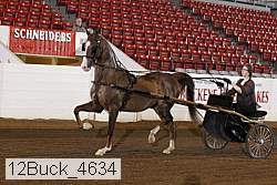 12buck_4634 proof