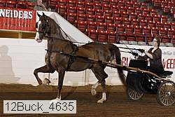 12buck_4635 proof