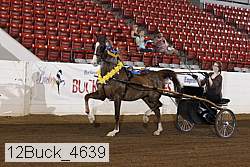 12buck_4639 proof