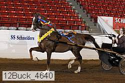 12buck_4640 proof
