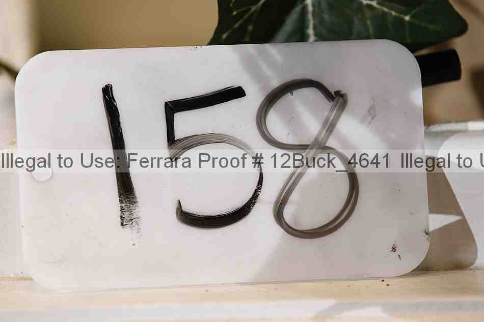 Proof 12buck_4641