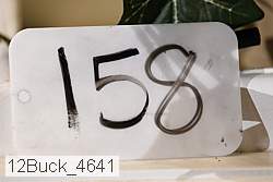 12buck_4641 proof