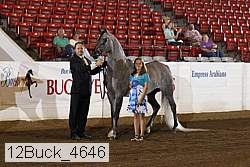 12buck_4646 proof
