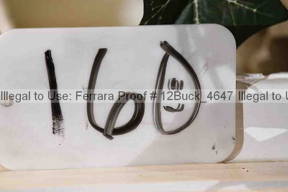 Proof 12buck_4647