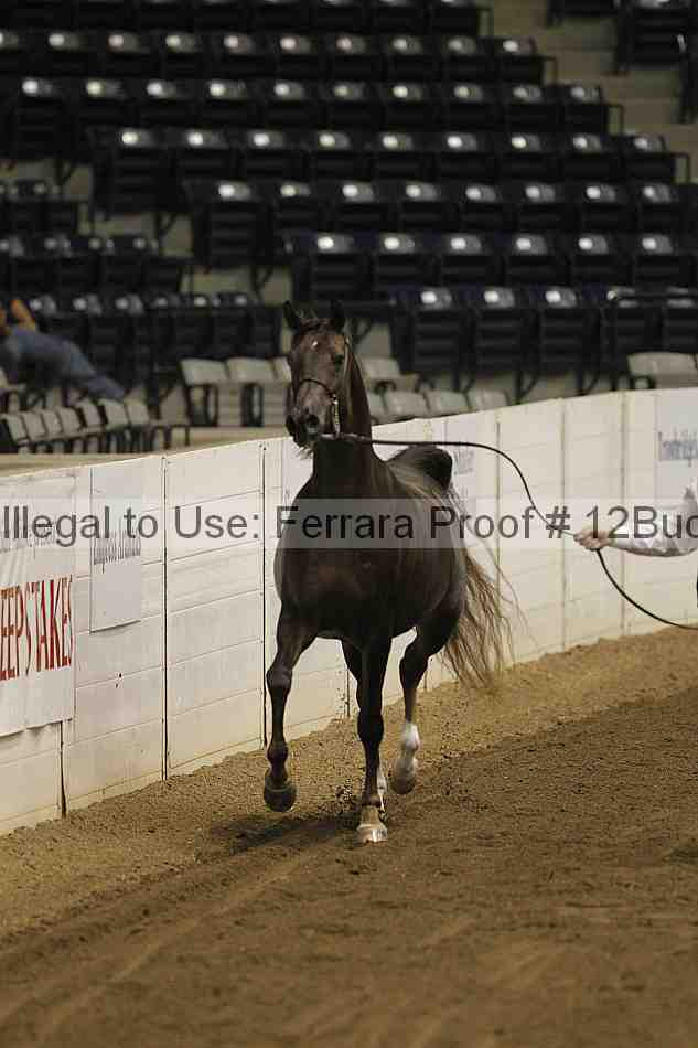 Proof 12buck_4653