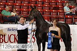12buck_4656 proof