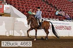 12buck_4663 proof
