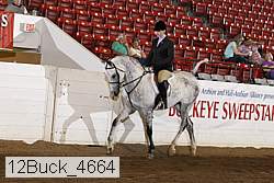 12buck_4664 proof