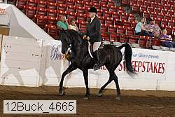 12buck_4665 proof