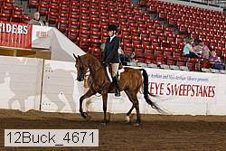 12buck_4671 proof