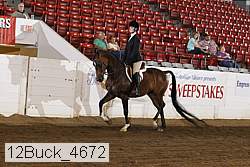 12buck_4672 proof