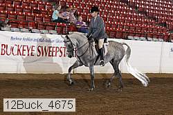 12buck_4675 proof
