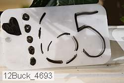 12buck_4693 proof