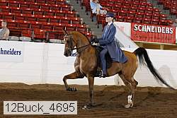 12buck_4695 proof