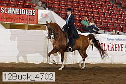 12buck_4702 proof