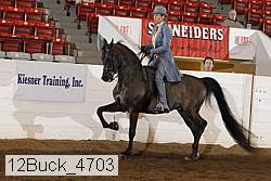 12buck_4703 proof