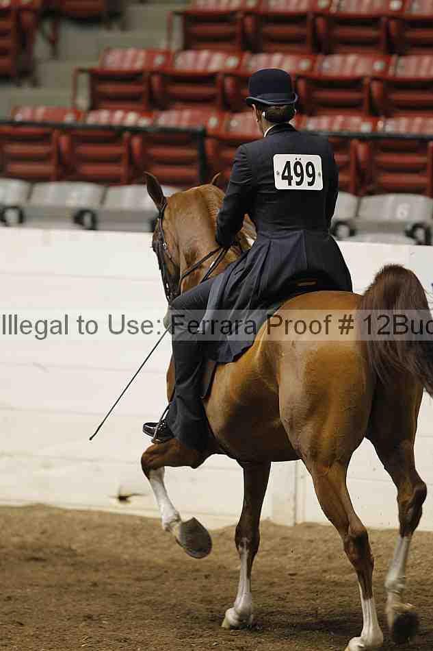 Proof 12buck_4707