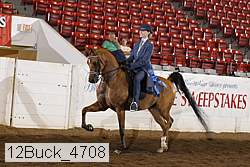 12buck_4708 proof