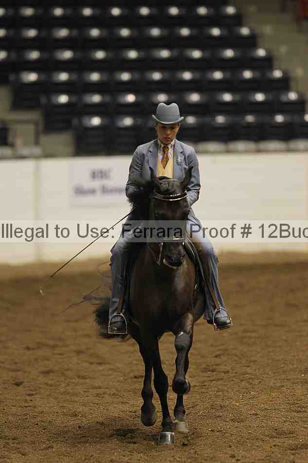 Proof 12buck_4709