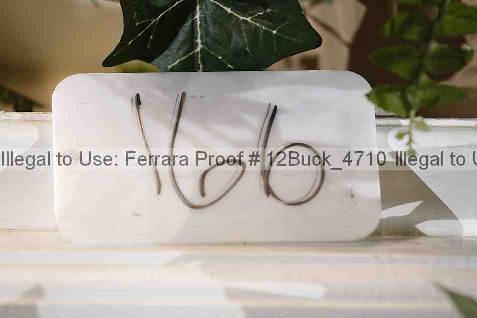 Proof 12buck_4710