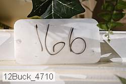 12buck_4710 proof