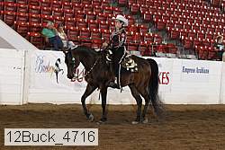 12buck_4716 proof