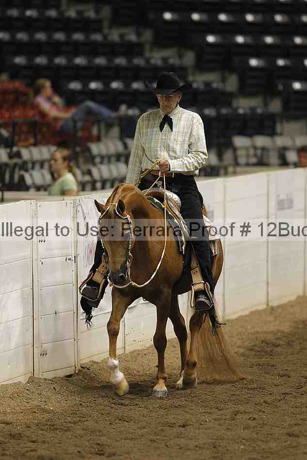 Proof 12buck_4719