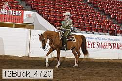 12buck_4720 proof