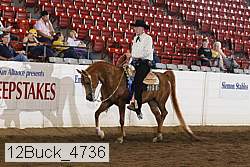 12buck_4736 proof
