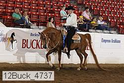 12buck_4737 proof