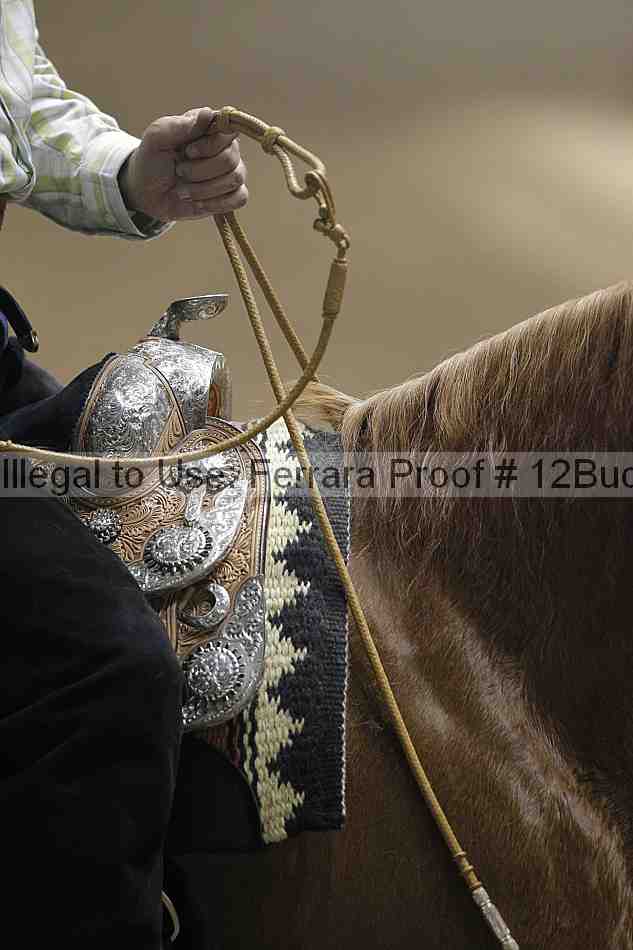 Proof 12buck_4744