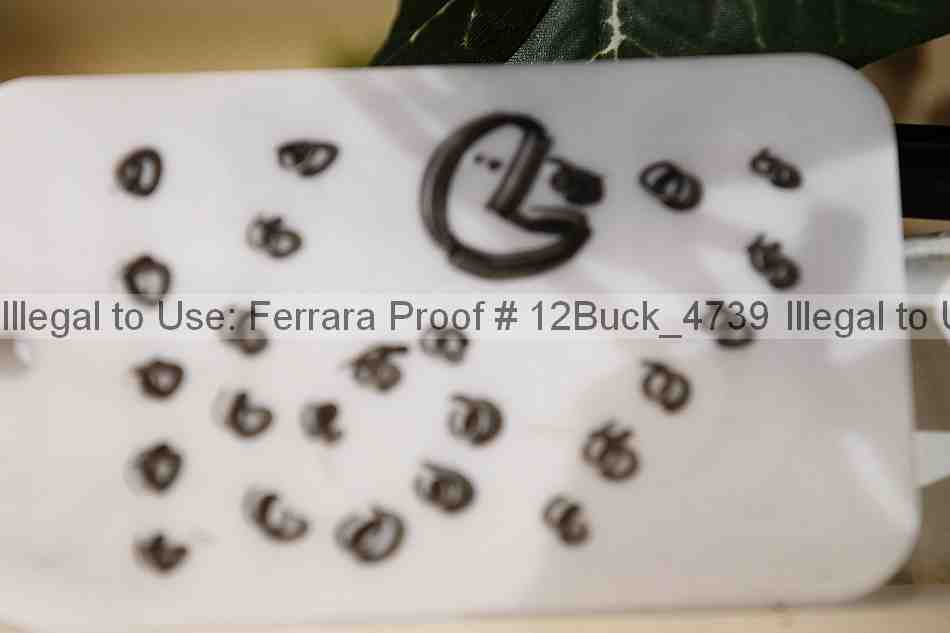 Proof 12buck_4739