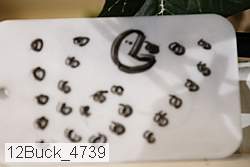 12buck_4739 proof