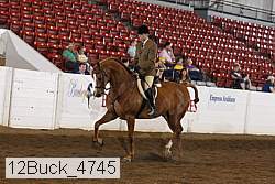 12buck_4745 proof