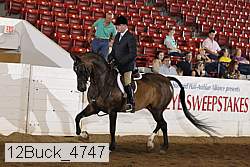 12buck_4747 proof