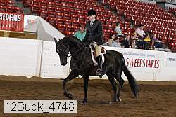 12buck_4748 proof