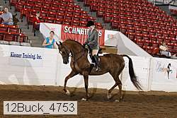 12buck_4753 proof