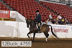 12buck_4755 proof